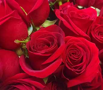ADD RED ROSES! (LOCAL ONLY)